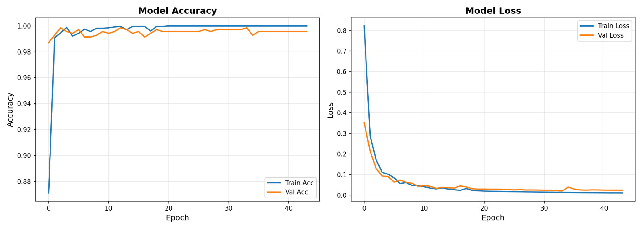 training accuracy/loss curves